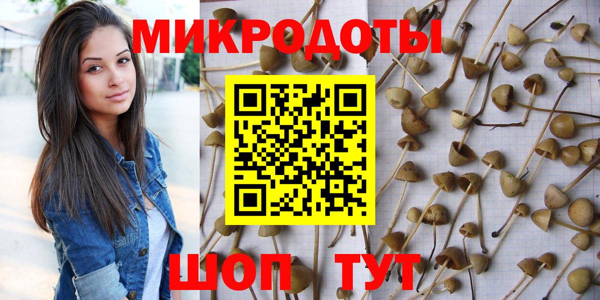 Можайск  Галлюциногенные грибы Psilocybe  дарнет шоп  Вход с VPN 