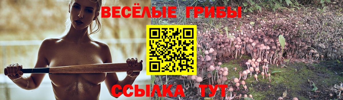 Галлюциногенные грибы Magic Shrooms Можайск